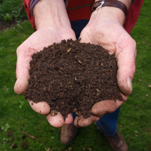 3 Easy Ways To Compost