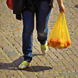 The Trouble With Plastic Bags
