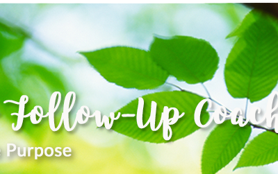 Personal and Follow-Up Coaching