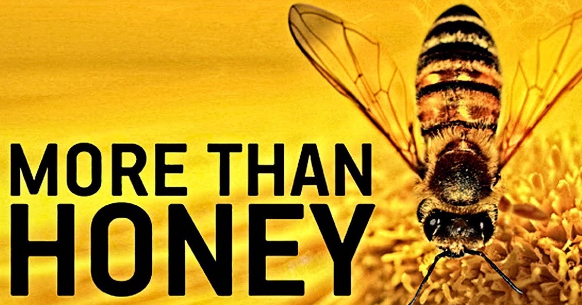 More Than Honey Documentary with bee pollinating flower