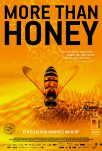 More Than Honey movie poster with bee pollinator