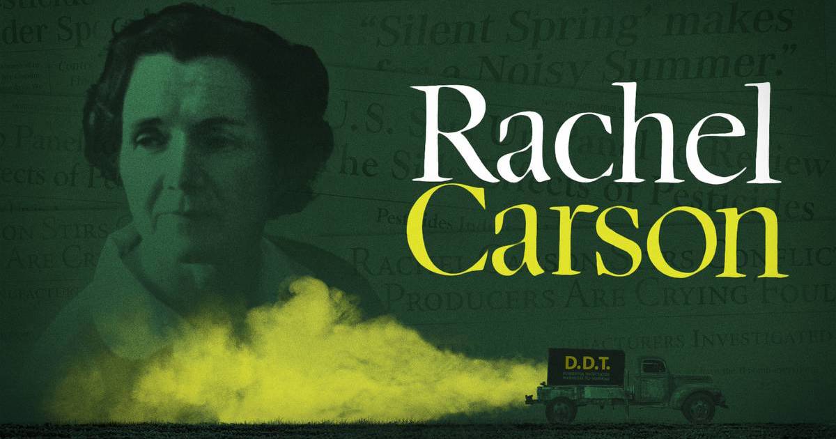 Rachel Carson Silent Spring DDT truck spraying pesticides "Rachel Avalon"